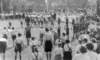 n1950_op_grasveld_small.jpg